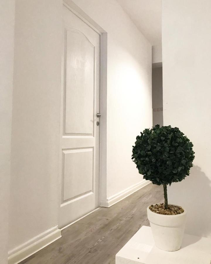 Ultracentral Apt With City Center View - Smart Tv - Ac Тимишоара Экстерьер фото